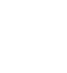 PDF icon